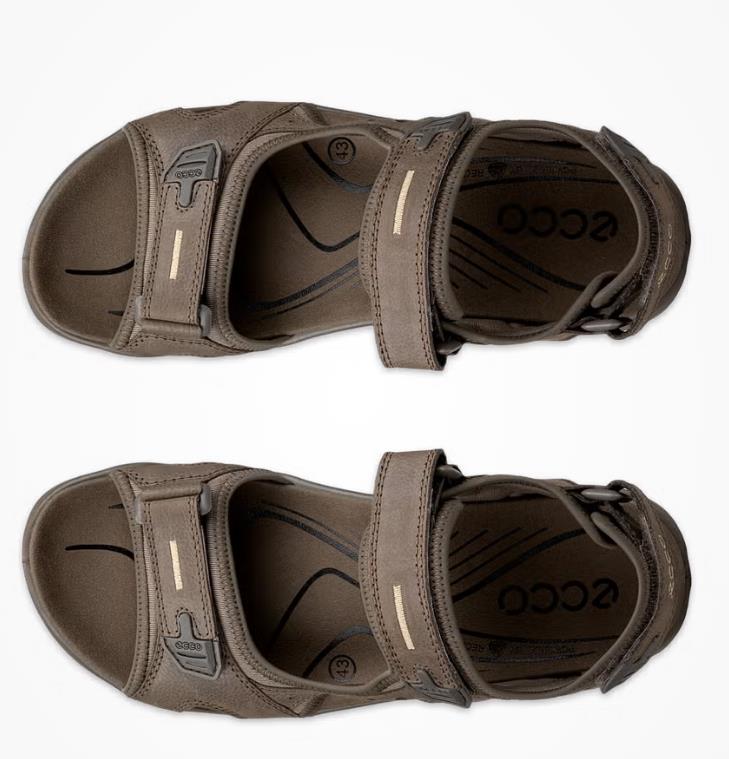 Sandalias para Hombre ECCO Yucatan dark clay